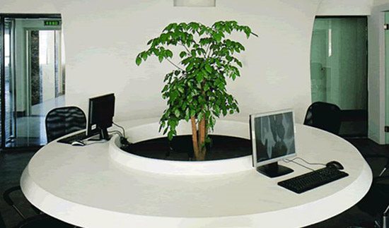 無錫辦公室裝飾，綠植的擺設(shè)講究